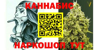 СК Новозыбков