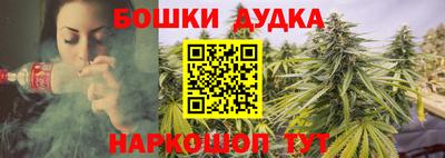 СК Новозыбков