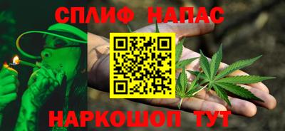 СК Новозыбков