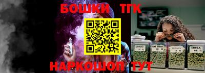 СК Новозыбков