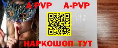 СК Новозыбков